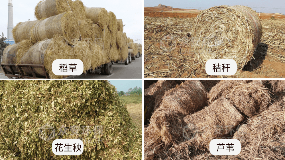 生物质原料 (1).png